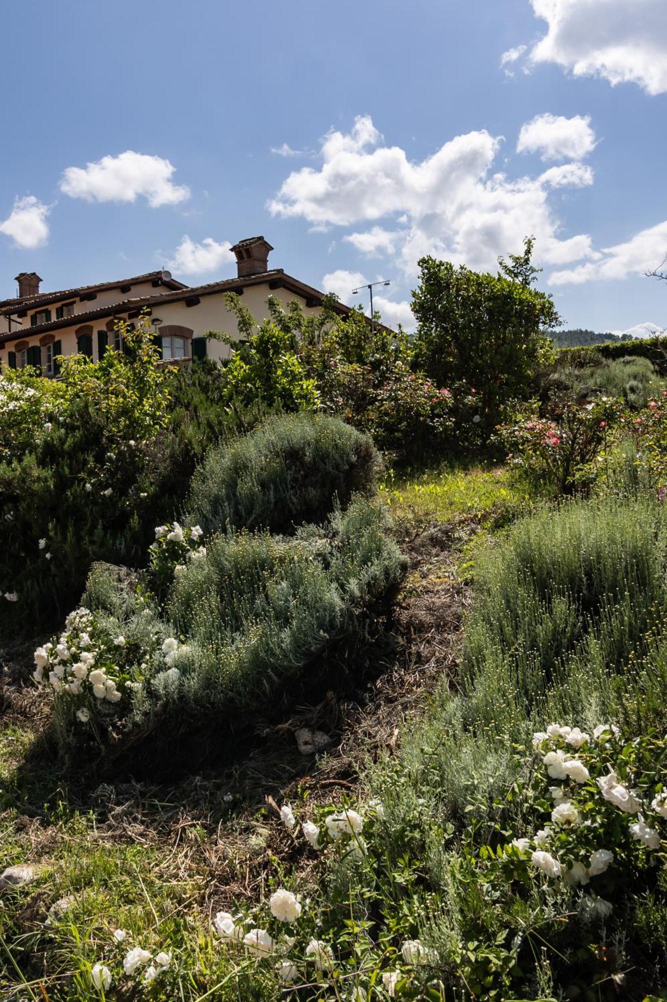 Tenuta Borgo San Michele Губио Екстериор снимка